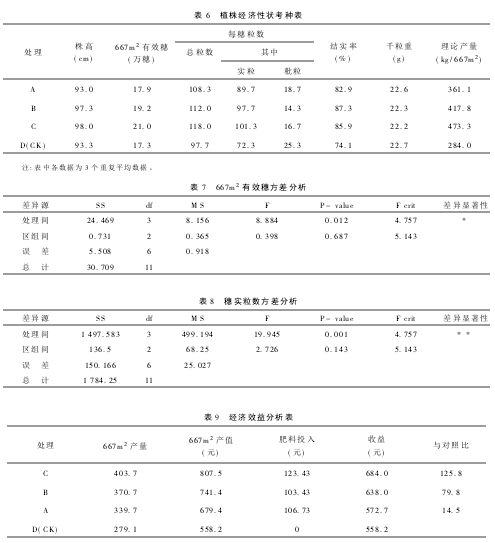 6 y䷽ʩʃxzyY(ji)ֲ꽛(jng)ԠN