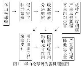 D1 Aɽ麦CD